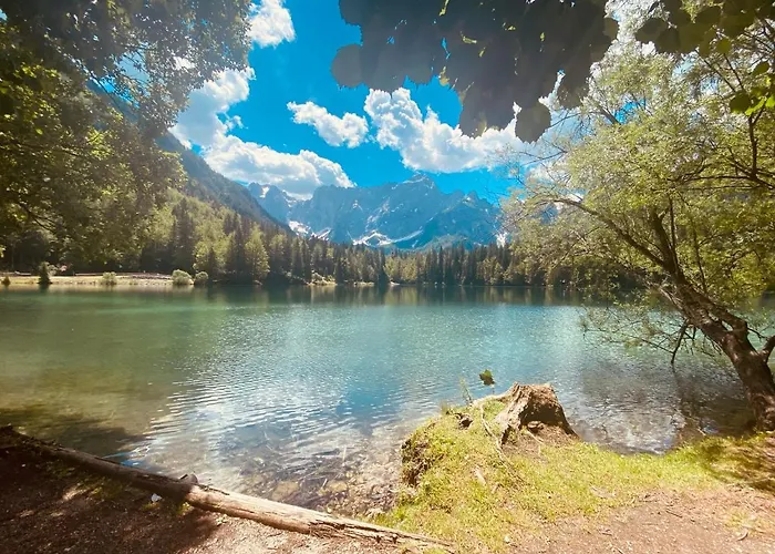 Gasthof Moj Mir Rateče